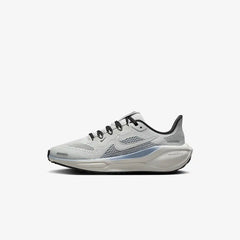 Nike Pegasus 41 - PHOTON DUST / METALLIC SILVER / ASHEN SLATE