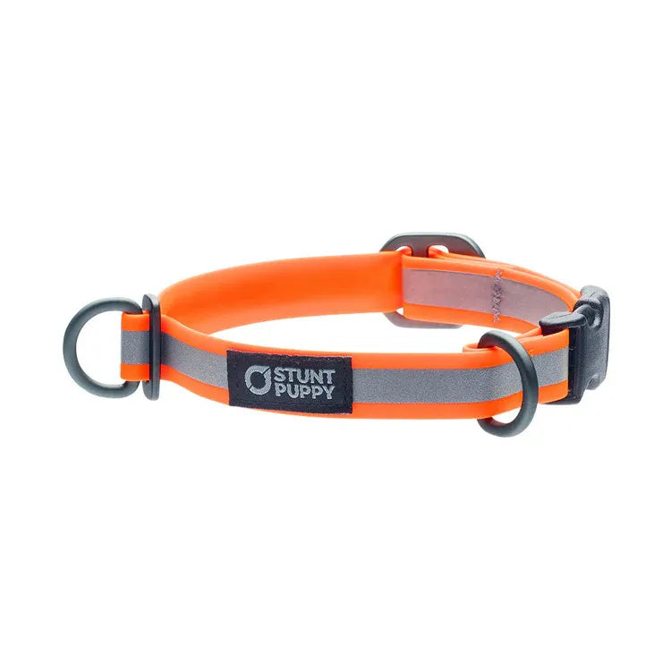 Stunt Puppy Glo Dog Glo Dry Collar - ORANGE