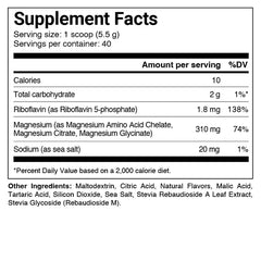 PILLAR Performance Triple Magnesium Professional Recovery Powder - 80 serving - BERRY
